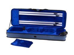 Θήκες Εγχόρδων