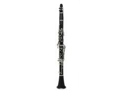 Belcanto X Series BX 950